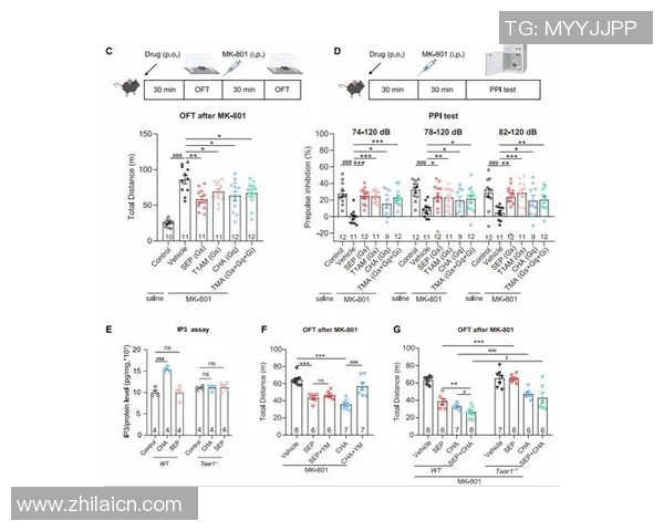 探索pg国际流式分析引擎的创新应用与未来发展趋势